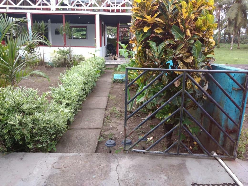 Cabinas Miss Miriam 2 Tortuguero Exterior photo