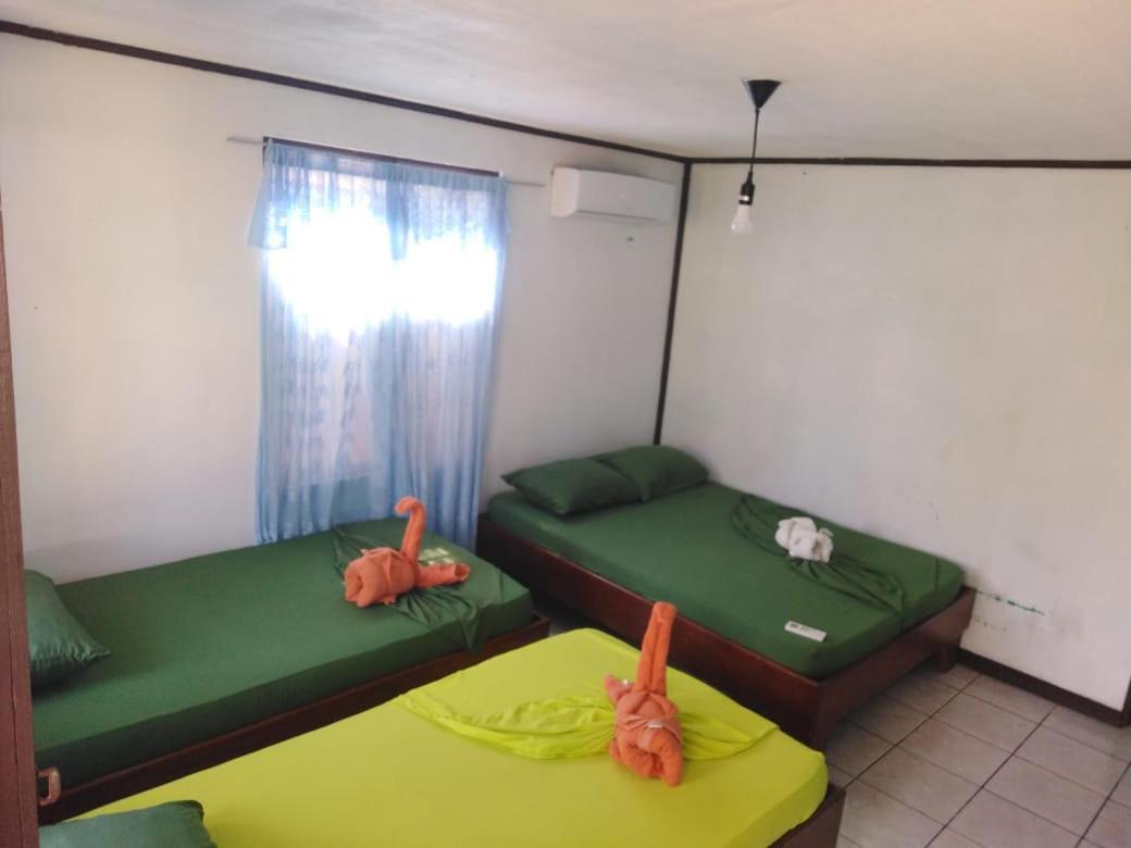 Cabinas Miss Miriam 2 Tortuguero Exterior photo